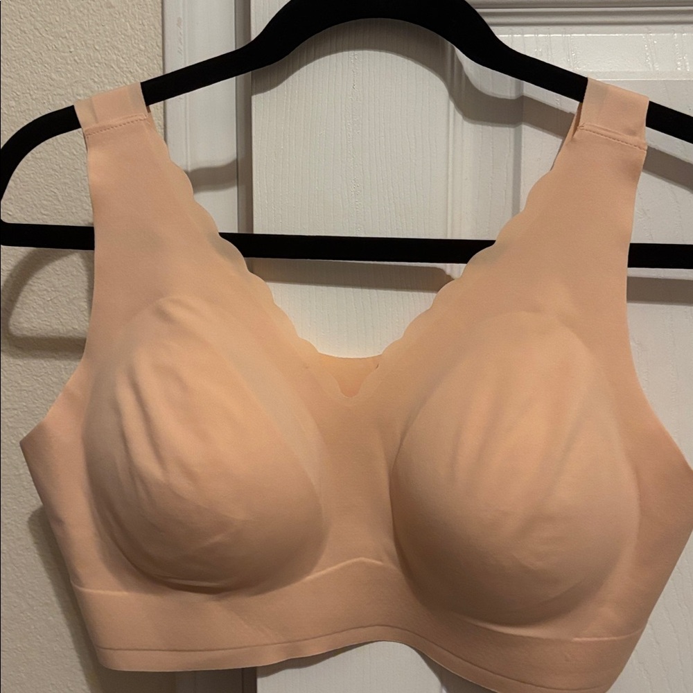 Rhonda Shear Nude Bra with Scalloped Design